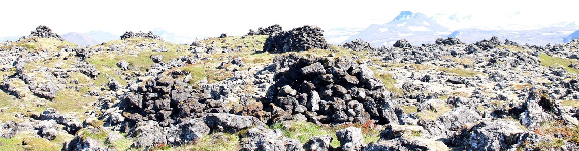 Mynd af Minjastofnun Íslands