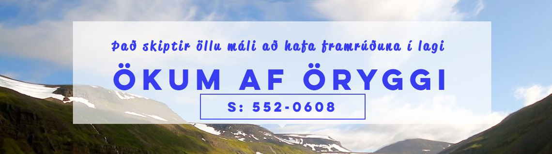 Mynd af Rúðutjón.is
