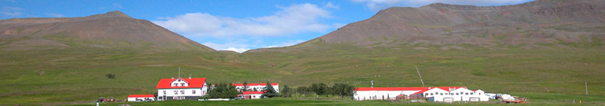 Mynd af Ferðaþjónusta bænda, Geitaskarði