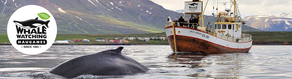 Mynd af Whale Watching Hauganes