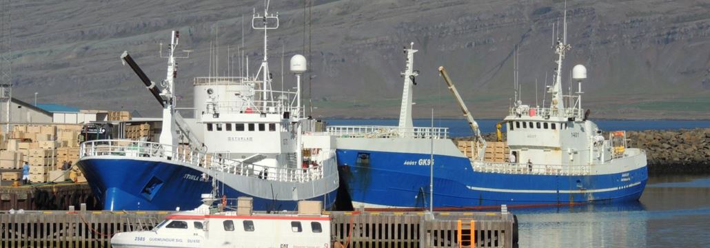 Mynd af Fiskmarkaður Djúpavogs ehf