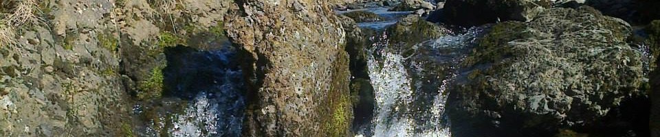 Mynd af Verslunarmannafélag Suðurlands