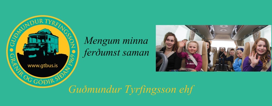 Mynd af Guðmundur Tyrfingsson ehf