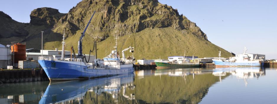 Mynd af Vinnslustöðin hf