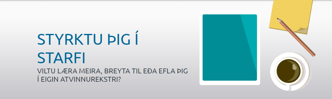 Mynd af Nýi tölvu- og viðskiptaskólinn, NTV