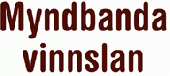 Lógo af Myndbandavinnslan