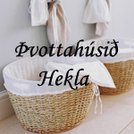 Lógo af Þvottahúsið Hekla