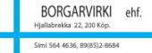 Lógo af Borgarvirki ehf